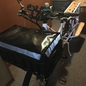 2019 Rad Power Bikes Radwagon 3 White