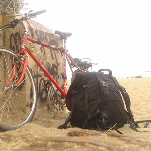 Specialized Rockhopper Red