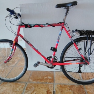 Specialized Rockhopper Red