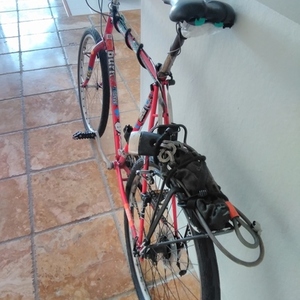 Specialized Rockhopper Red