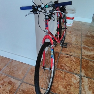 Specialized Rockhopper Red
