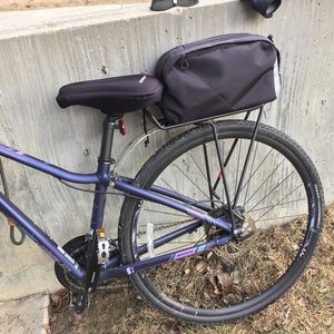 2018 Giant Rove Aluminum Purple