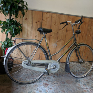 Gazelle Superieur Speciale Silver, gray or bare metal