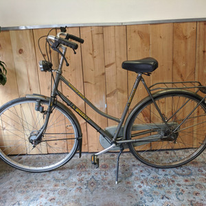 Gazelle Superieur Speciale Silver, gray or bare metal