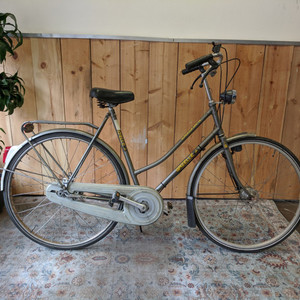 Gazelle Superieur Speciale Silver, gray or bare metal