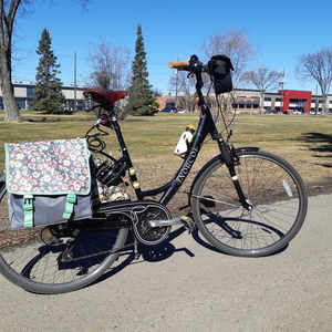 Norco Bikes Corsa 2 ST Black