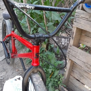 2020 Sunday Model C Red