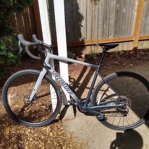 2020 Specialized Diverge Elite E5 Silver, gray or bare metal