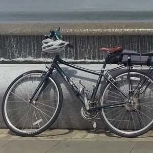 2009 Raleigh Detour 4.5 Green