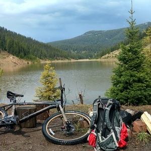 2014 Specialized Rockhopper 29 Black and Brown