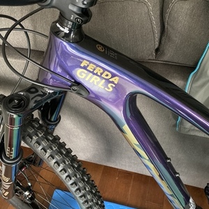 2020 Kona Process 153 CR/DL 29 Purple and Yellow or Gold