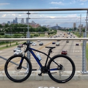 2017 Specialized Pitch Black