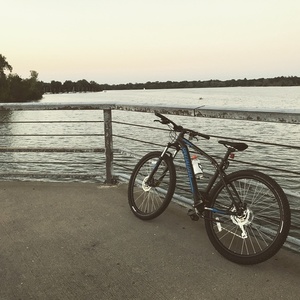 2017 Specialized Pitch Black