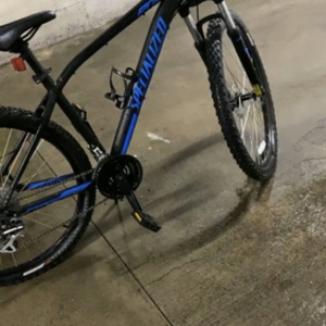 2017 Specialized Pitch Black