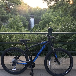 2017 Specialized Pitch Black