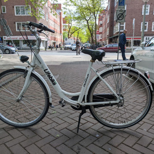 Other Lifebike Hybrid White