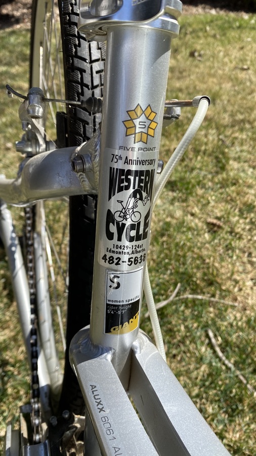 giant liv cypress dx w