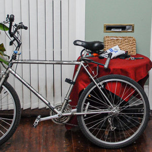 Diamondback Ridge Runner Silver, gray or bare metal