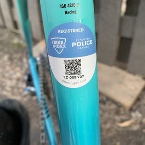 2020 Trek Crockett 4 Disc Blue