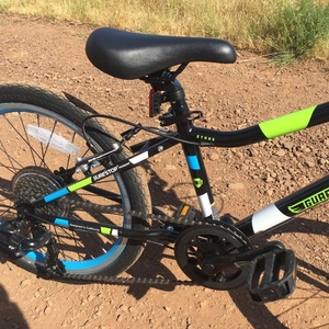 2020 Guardian bikes Ethos Blue, Green, and Black