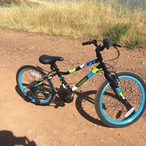 2020 Guardian bikes Ethos Blue, Green, and Black