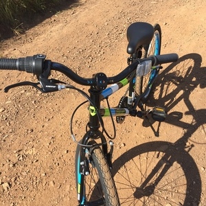 2020 Guardian bikes Ethos Blue, Green, and Black