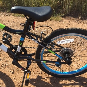 2020 Guardian bikes Ethos Blue, Green, and Black