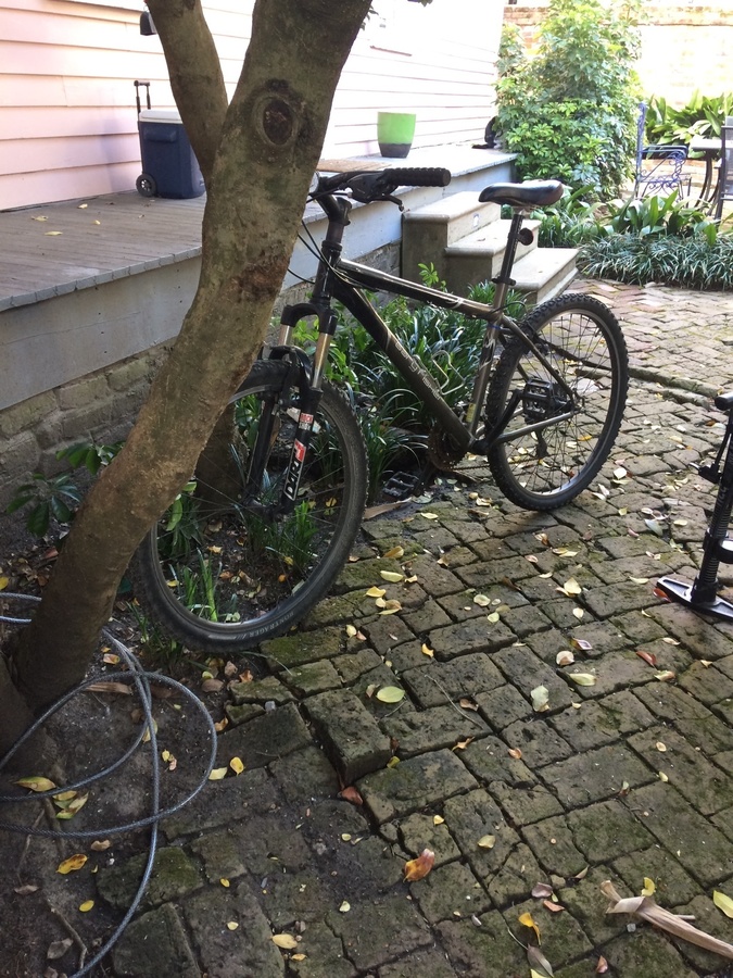 Bike photo