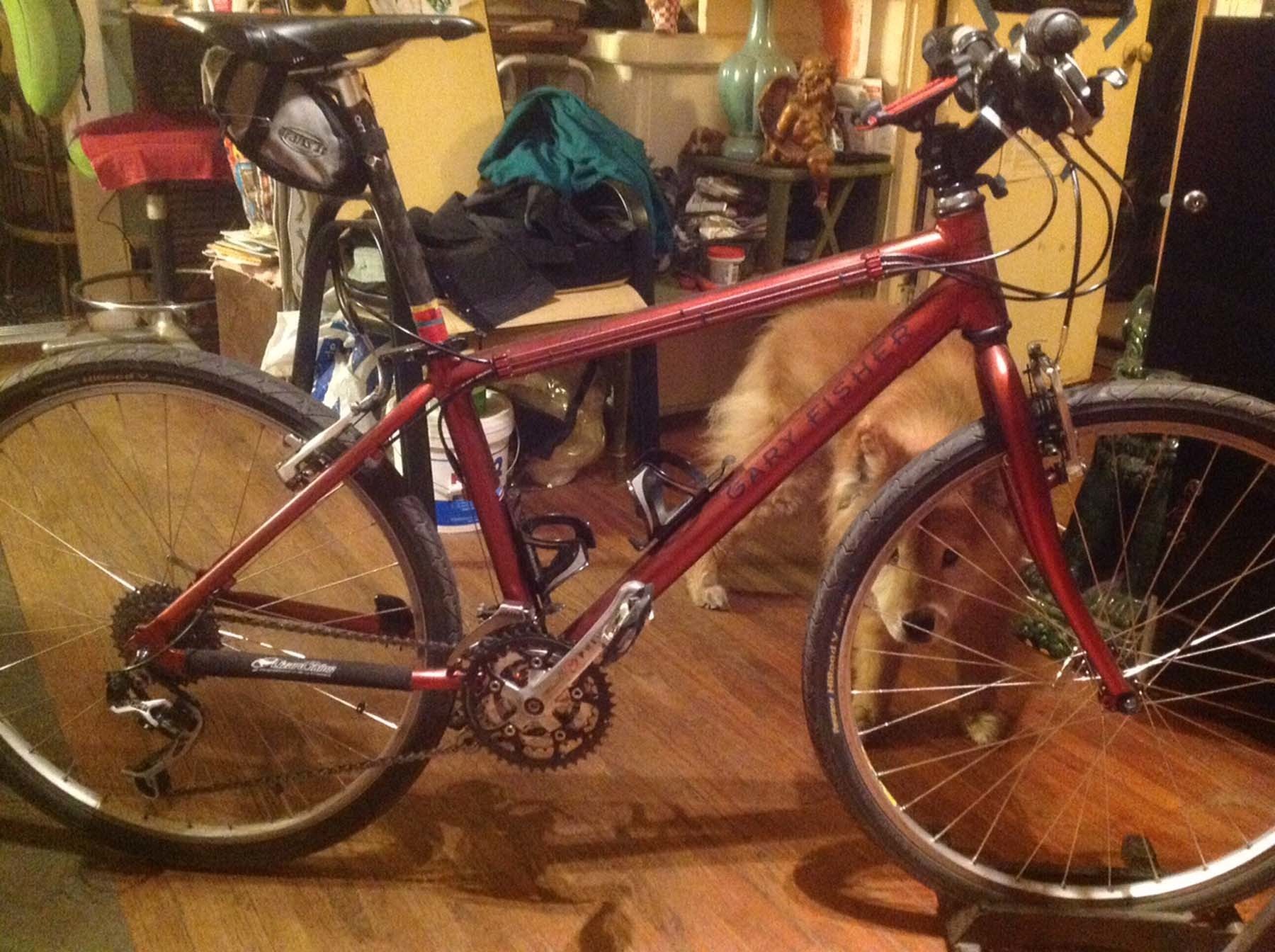 orange gary fisher mountain bike