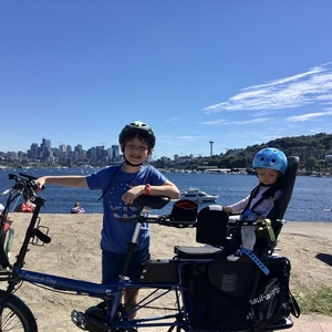 2015 Bike Friday Blue
