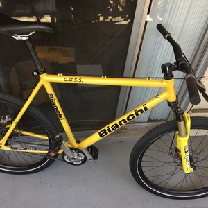 2005 Bianchi G.U.S.S. Yellow or Gold