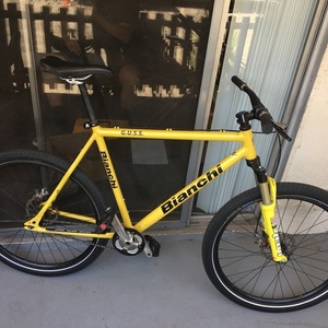2005 Bianchi G.U.S.S. Yellow or Gold