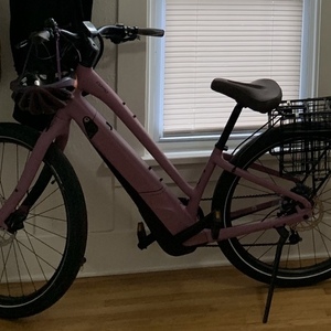 2019 Specialized Como (electric) Purple and Pink