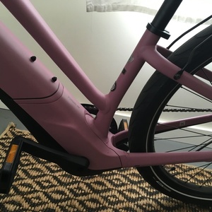 2019 Specialized Como (electric) Purple and Pink