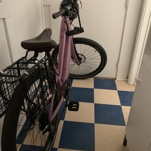 2019 Specialized Como (electric) Purple and Pink