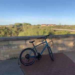 2020 Specialized Roll Sport Teal
