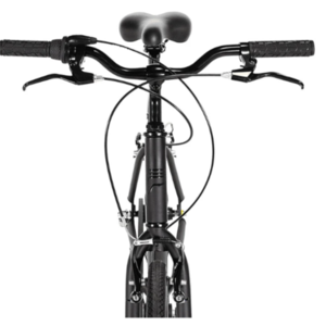 2018 Priority Bicycles Diamond Black