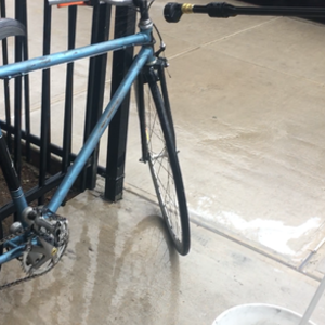 Raleigh Blue and Black