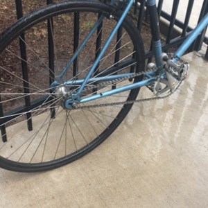 Raleigh Blue and Black