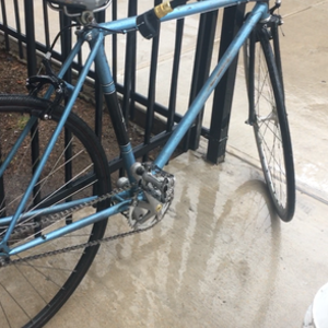Raleigh Blue and Black