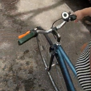 Raleigh Vintage - converted single speed Blue and Black