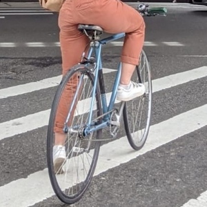 Raleigh Vintage - converted single speed Blue and Black