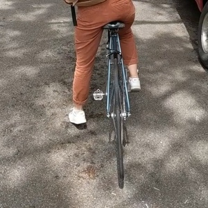 Raleigh Vintage - converted single speed Blue and Black
