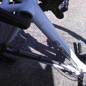 2020 SCOTT Sportster White