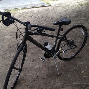 2013 Trek Silver, gray or bare metal