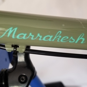 2019 Salsa Marrakesh Green