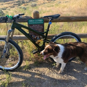 Transition Bikes Covert Green