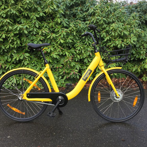Other Frooom Yellow or Gold