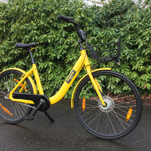 Other Frooom Yellow or Gold