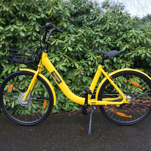 Other Frooom Yellow or Gold
